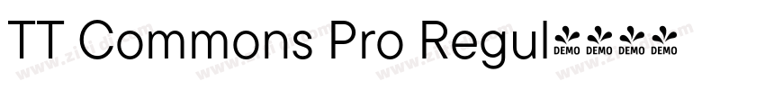 TT Commons Pro Regul字体转换 TT Commons Pro Regul字体转换